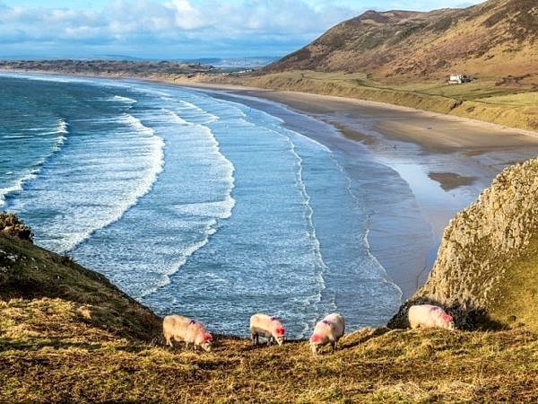 Rhossili Beach in March on the Gower Peninsula