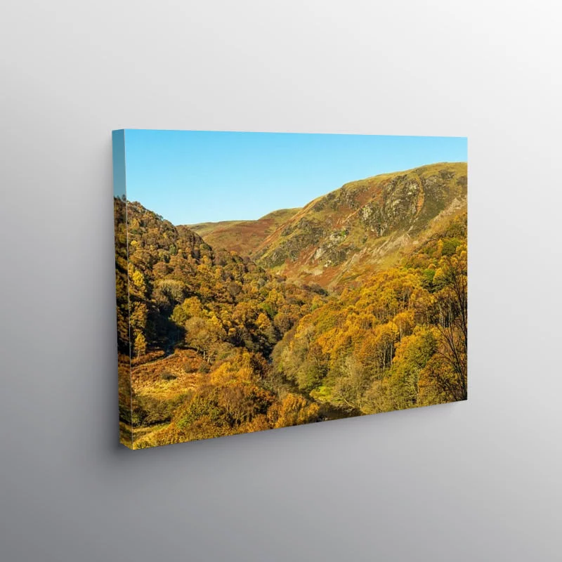 Autumn in the Doethie Valley Mid Wales, Canvas Print