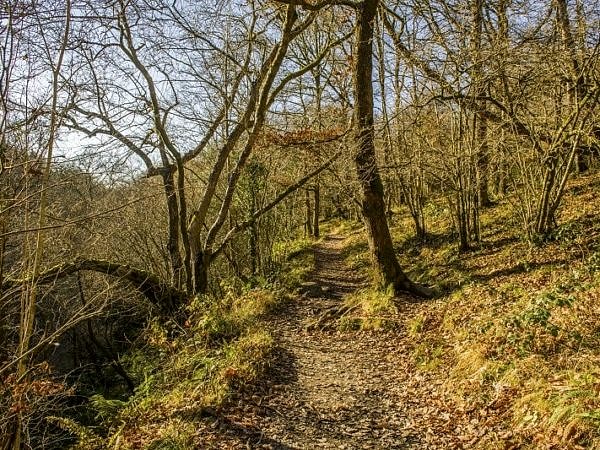 Footpath through the Vale of Neath