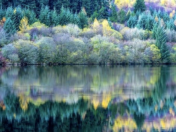 Llwyn Onn Reservoir Reflections_DSC5439