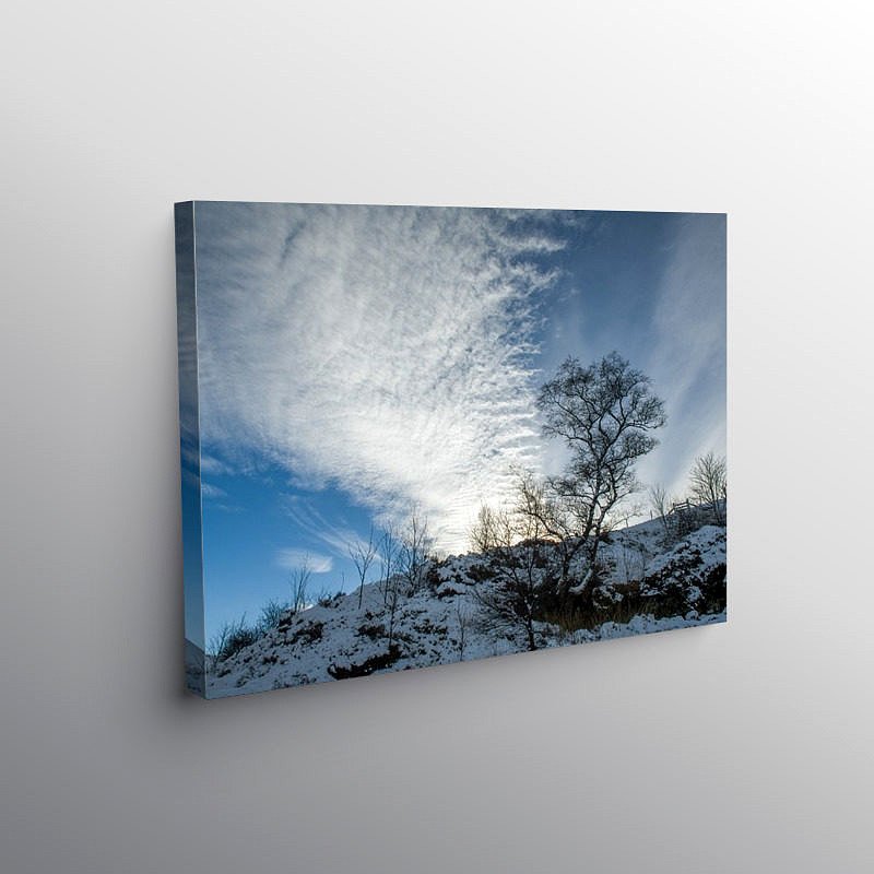 Winter Tree and Sky Brecon Beacons, Canvas Print