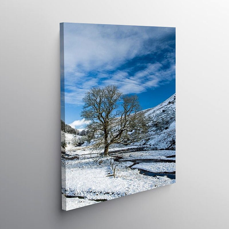 The guardian tree at Cwm Crew Brecon Beacons, Canvas Print