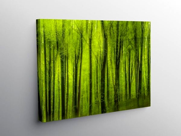 The Tongwynlais Forest Cardiff, Canvas Print