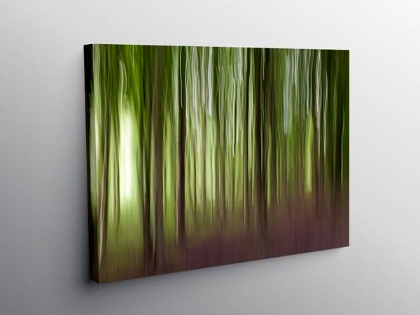 The Wentwood Forest Monmouthshire, Canvas Print