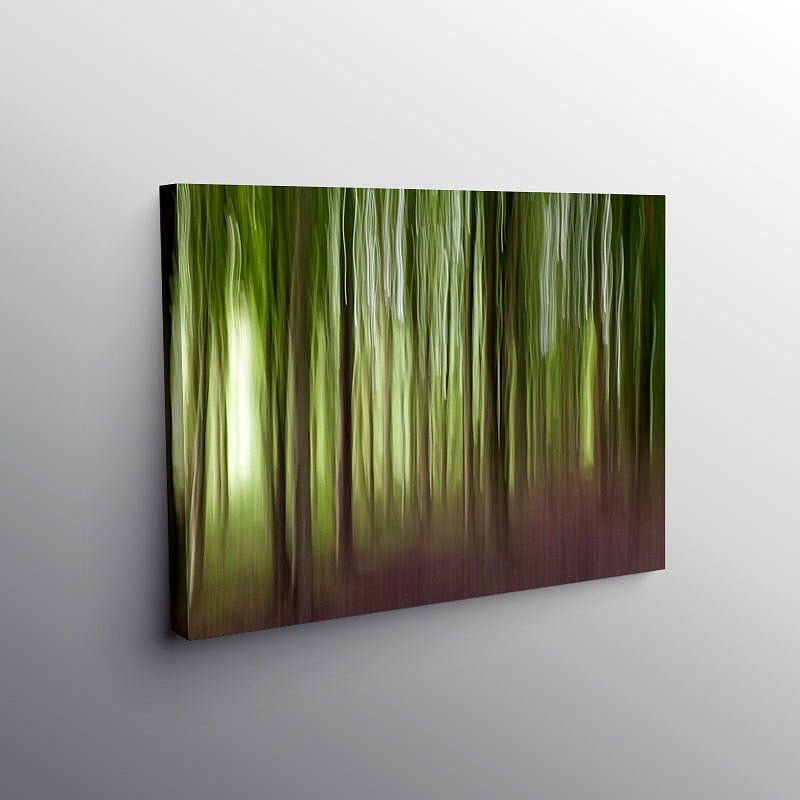The Wentwood Forest Monmouthshire, Canvas Print