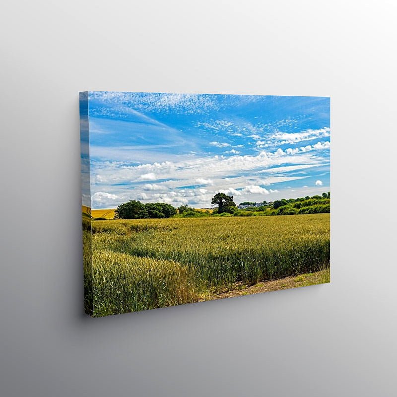 Wheat Fields in the Vale of Glamorgan, Canvas Print