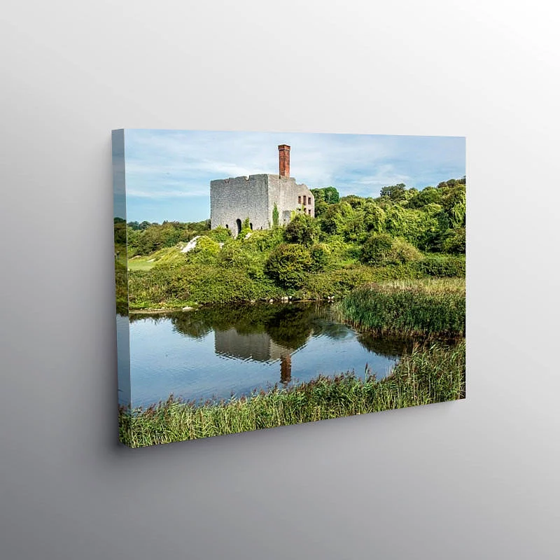Aberthaw Nature Reserve and Old Limeworks, Canvas Print