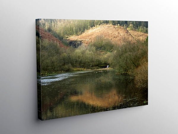 The Upper Pond Clydach Vale, Canvas Print